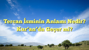 Tercan İsminin Anlamı Nedir? Kur’an’da Geçer mi?